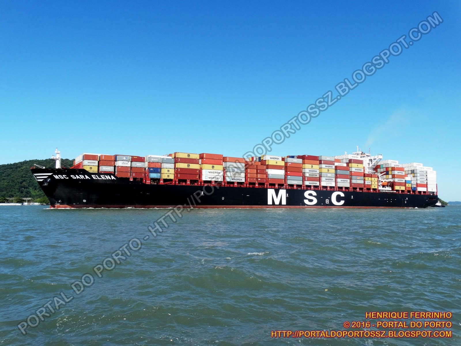 MSC Sara Elena - Portal do Porto