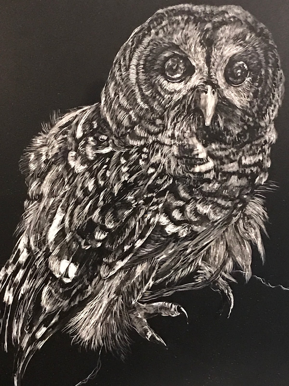 Kay's Art Scratchboard owl
