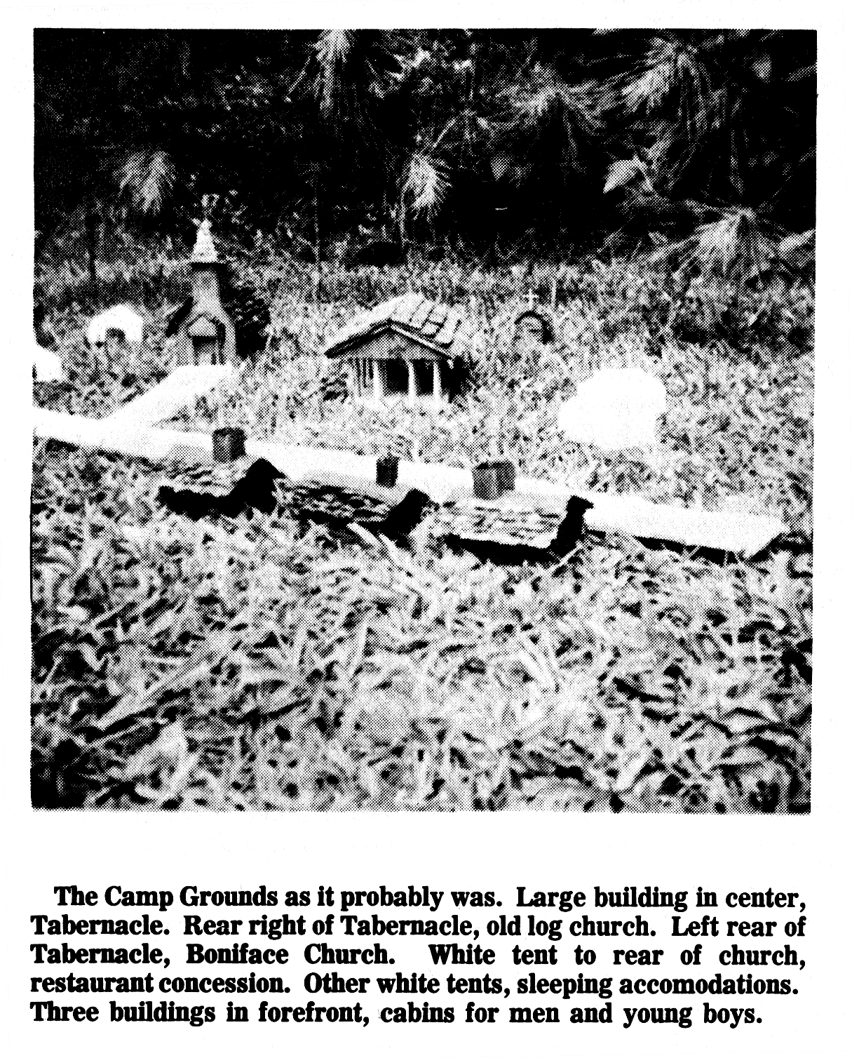 Tammany Family History of the Waldheim United Methodist Church