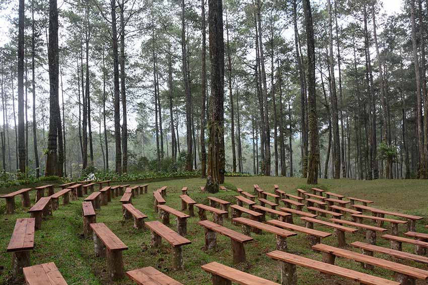 ORCHID FOREST CIKOLE LEMBANG | TEMPAT OUTBOUND BAGUS DI ...