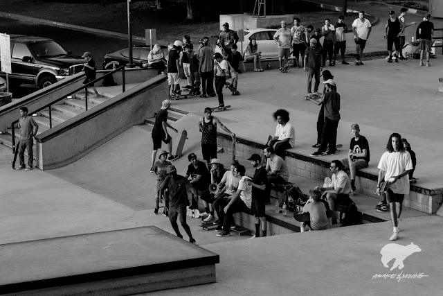 House Park filled with skaters of all backgrounds.