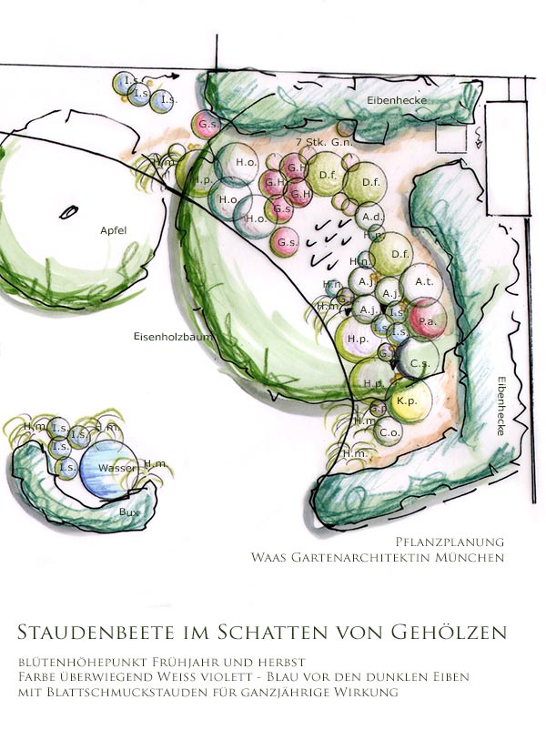 Pflanzplan für Blumenbeete im Schatten mit Stauden, Gräsern, Farnen und Blumenzwiebeln