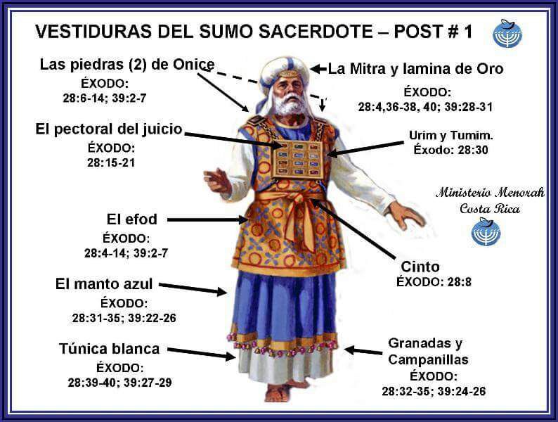 Sumergida en tu Gracia 4 Teología