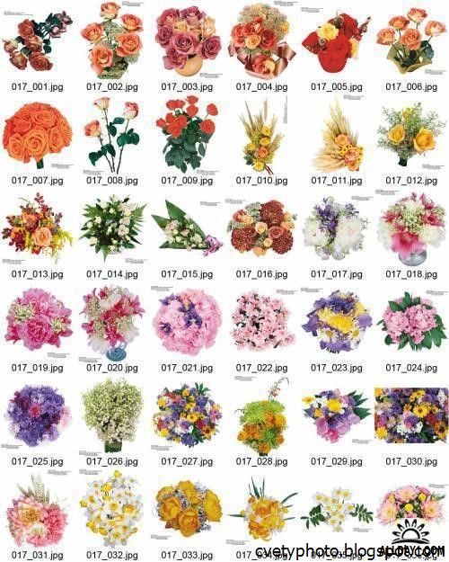 имена на цветя по азбучен ред