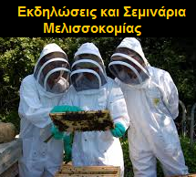 http://melissokomianet.gr/ekdiloseis-seminaria-melissokomias/