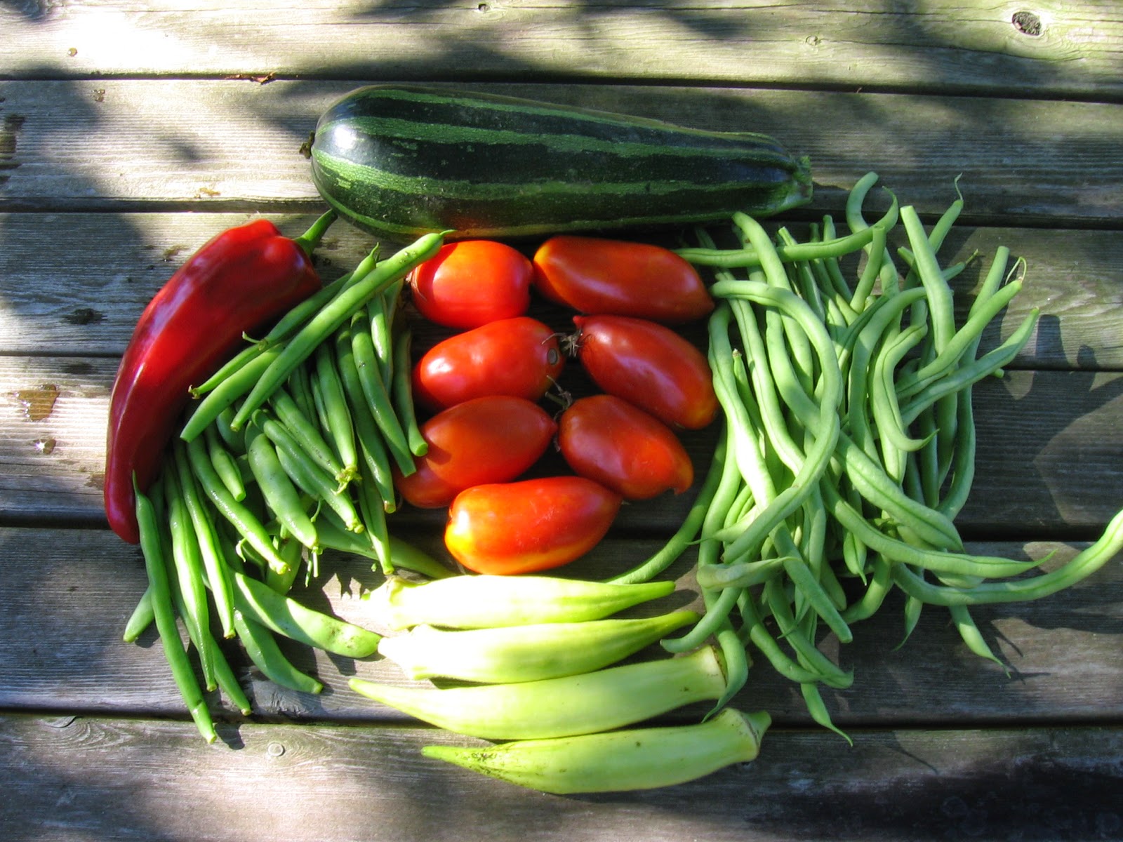 Mike's Bean Patch Monday September 22