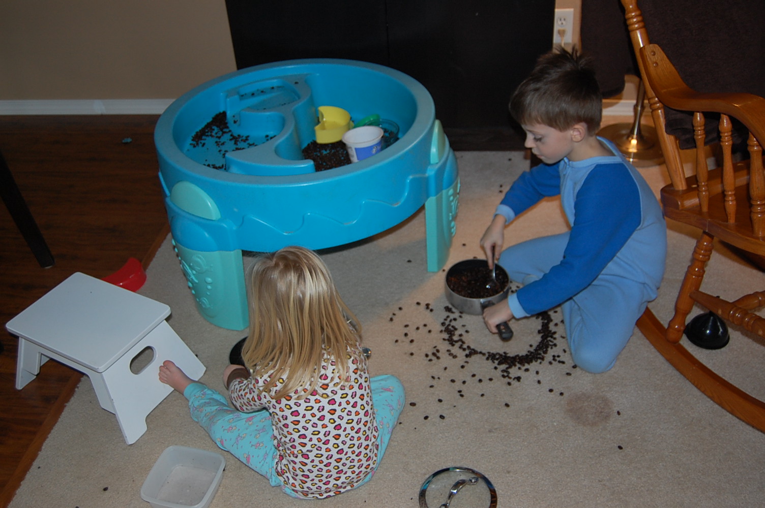 Preserving Life's Moments Coffee Bean Sensory Table