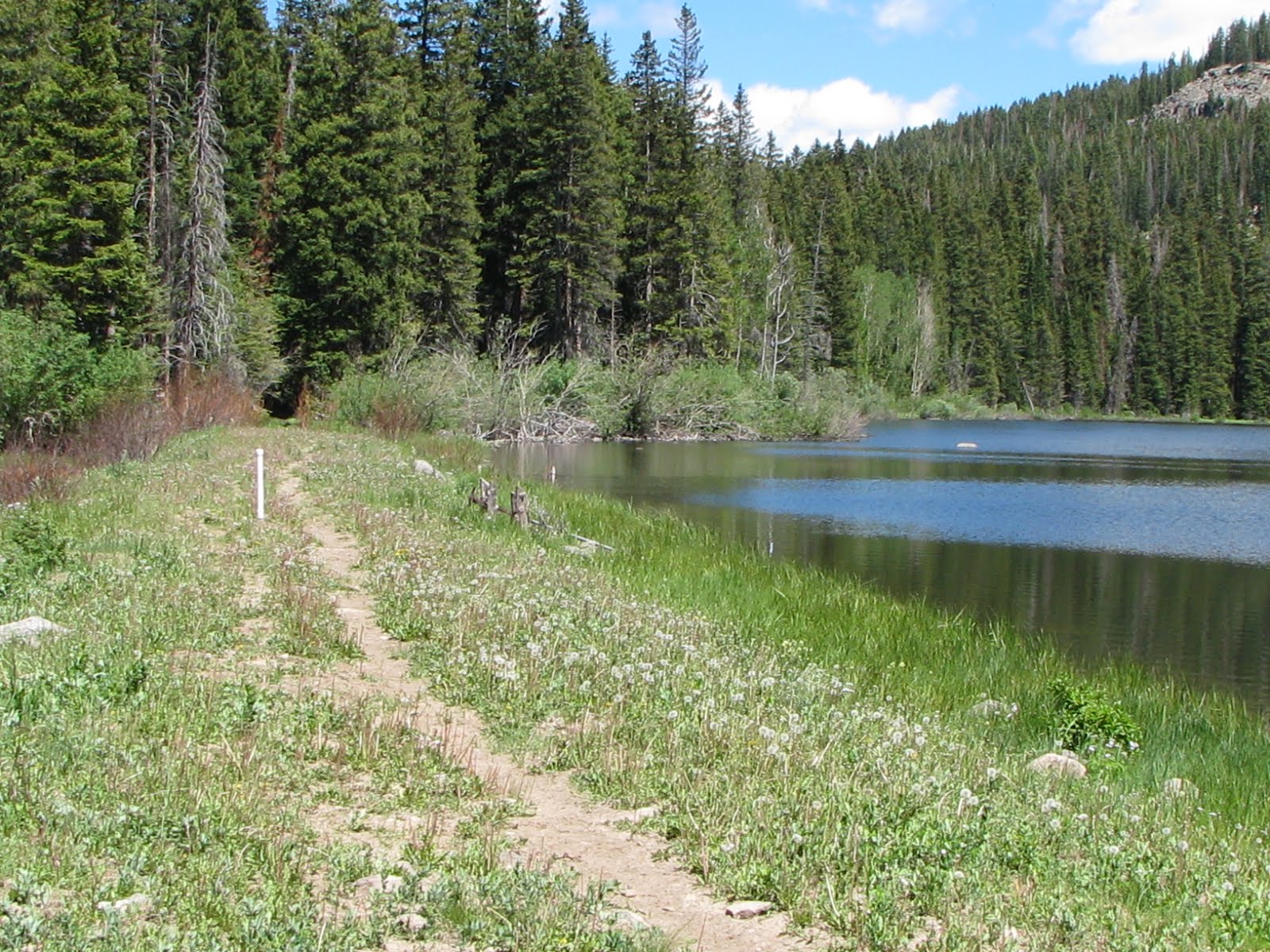 Lake of the Woods