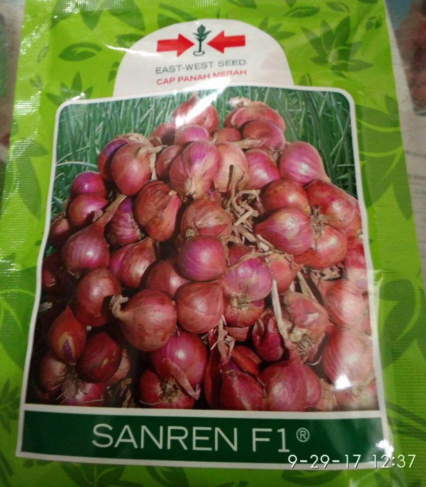 benih bawang merah sanren f1 bibit unggul benih bawang merah sanren f1 bibit unggul