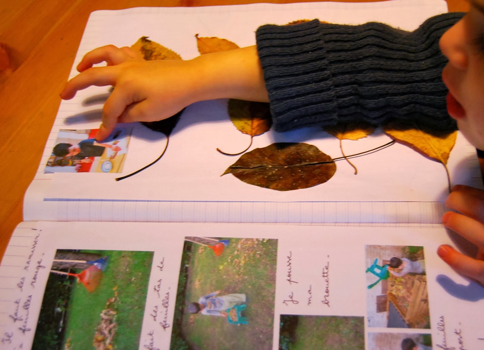 Séquence arbres et feuilles - Merci qui ? Merci Montessori