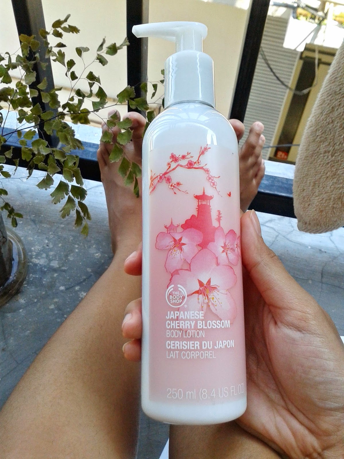 Review The Body Shop Japanese Cherry Blossom Body Lotion Bungabangun 