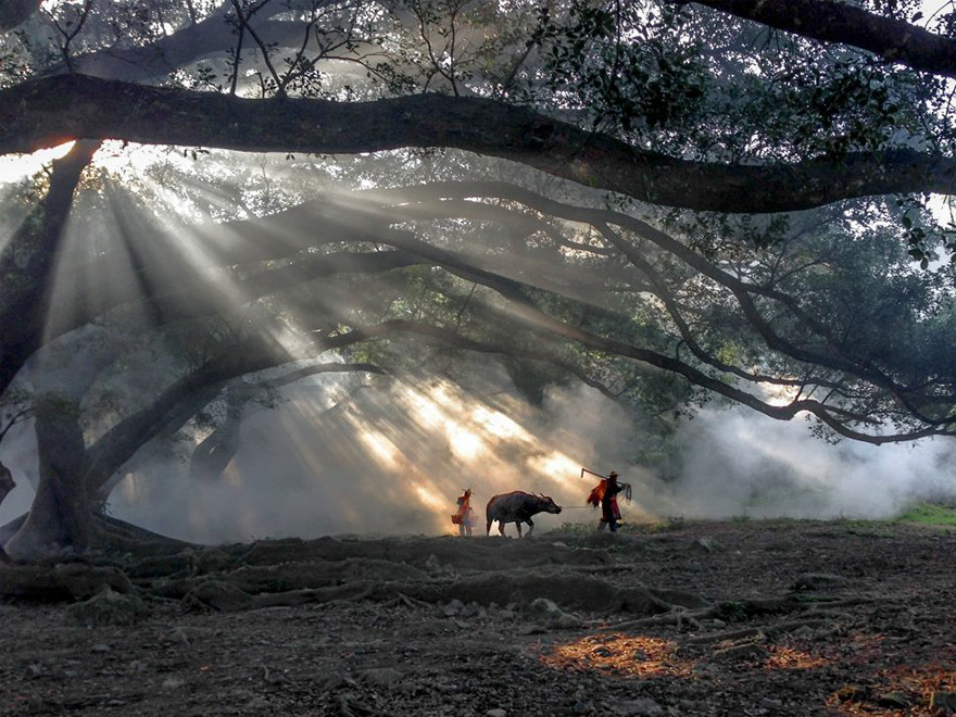 iPhone photography awards 2016 iPhone photography awards 2016