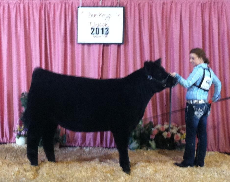 Trausch Farms From Winegardner Show Cattle Ohio