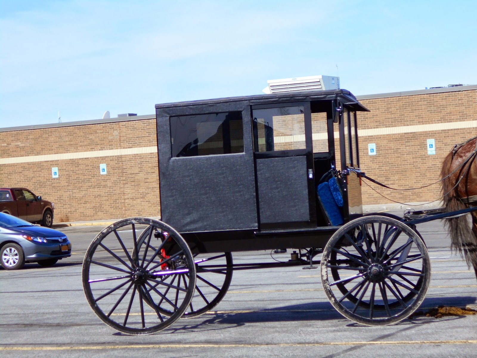 New York State of Mind OLD ORDER MENNONITE BUGGY AT ALIDI'S