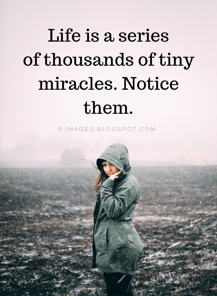 Life is a series of thousands of tiny miracles. Notice them. Life ...