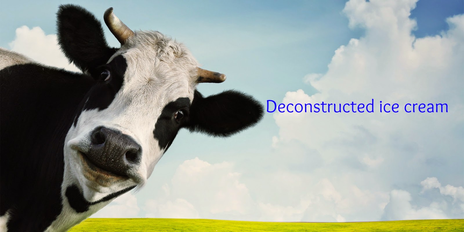 Food terminology for beginner foodies