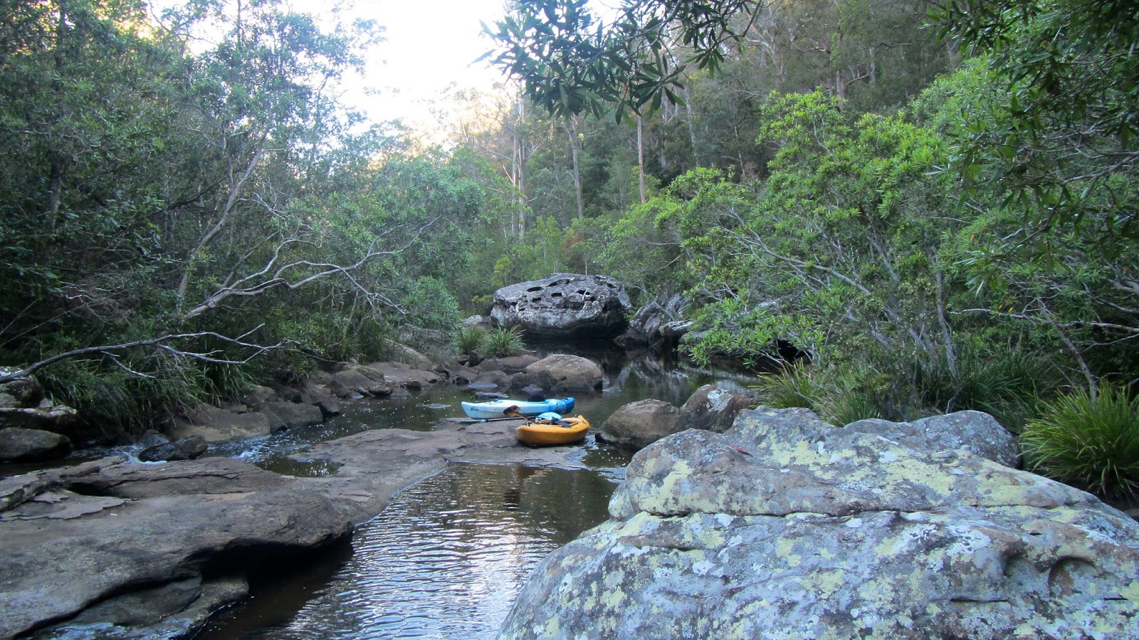 ROCK'S ADVENTURES CENTRAL COAST MOONEY MOONEY CREEK KAYAK 27 NOVEMBER 2013