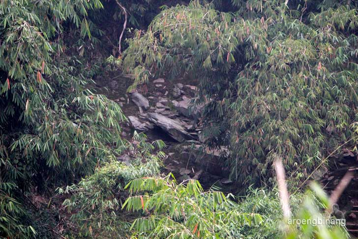 punden jami piciing tenjolaya bogor