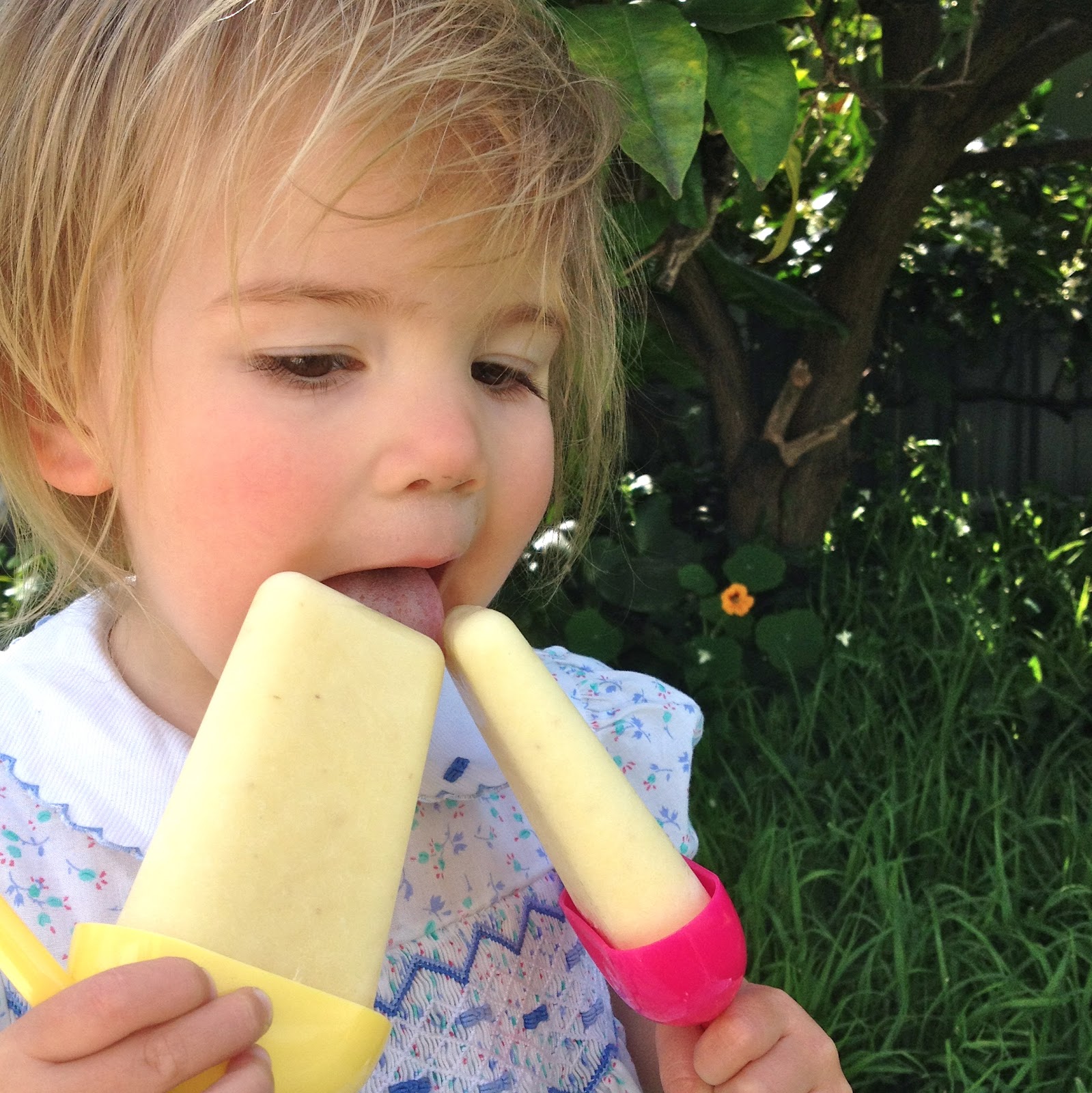 Learnings of an earth mama Pinapple, Banana and Coconut Iceblocks