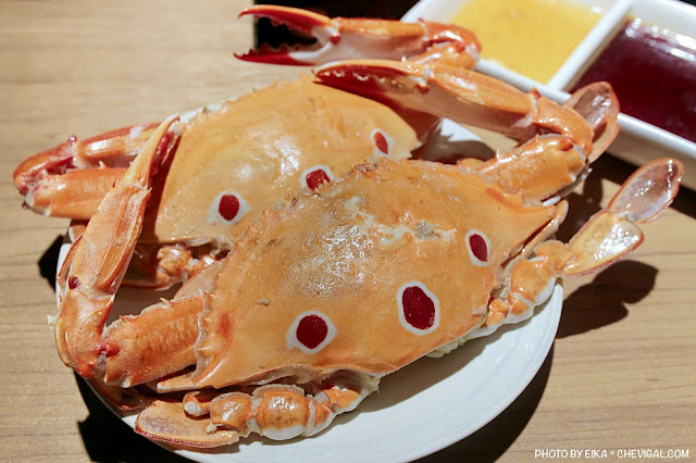 台中火鍋│青森鍋物*超澎派生猛海鮮讓人看傻了眼!質感鍋物菜單全新大改版~