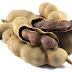 Amazing Health Benefits of Tamarind Fruit You Shouldn’t Ignore!