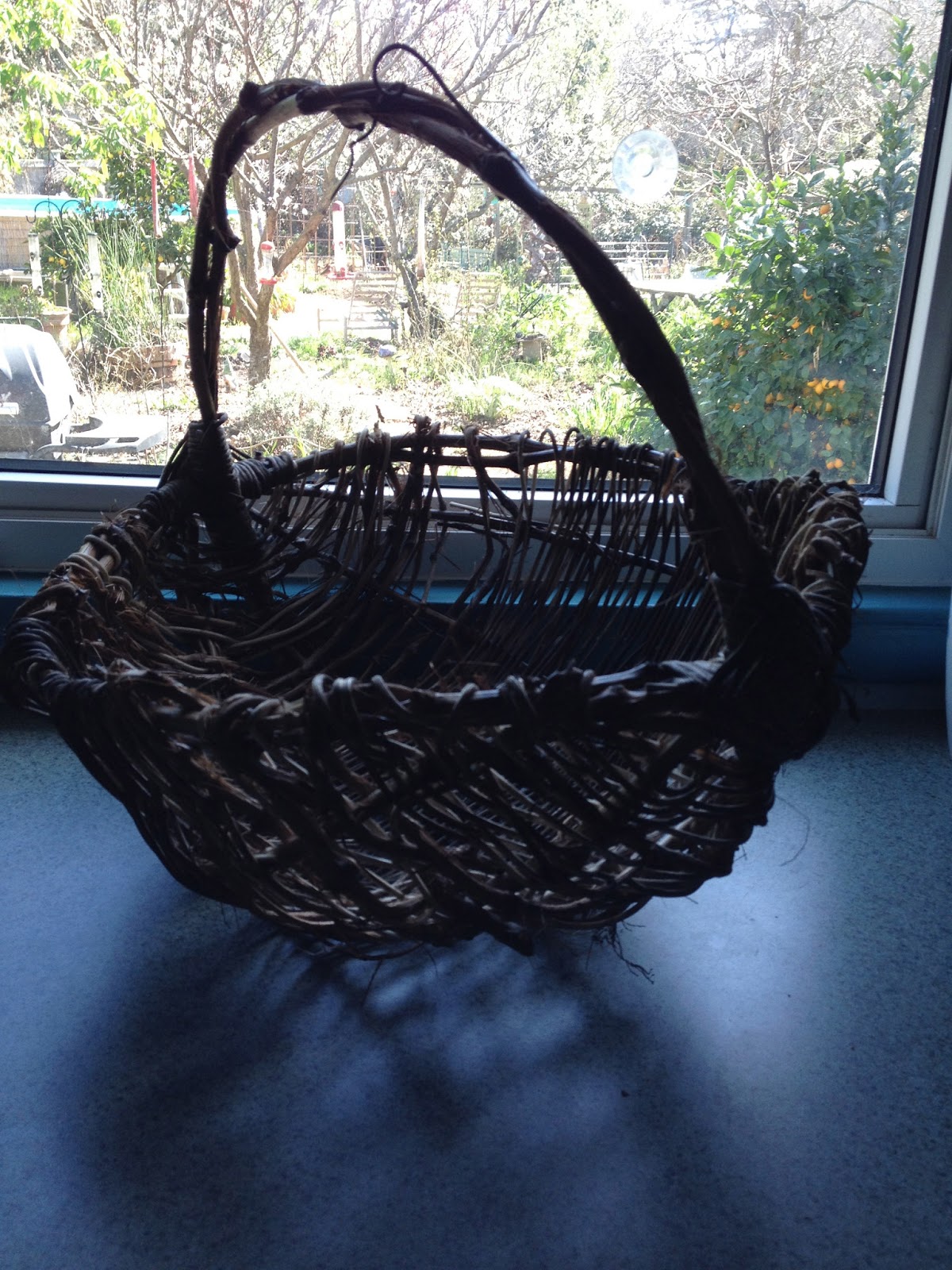 Sarahracha Grape vine basket