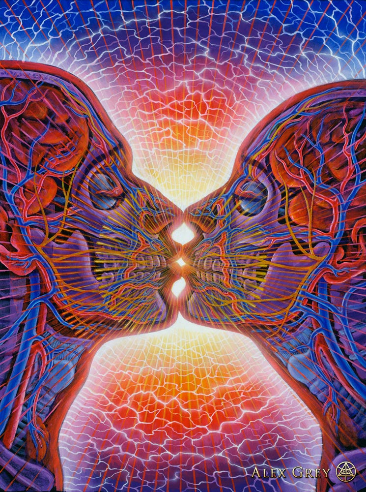 Cromofora La ( Paloma) Contemporary Online Art Gallery: ALEX GREY ...