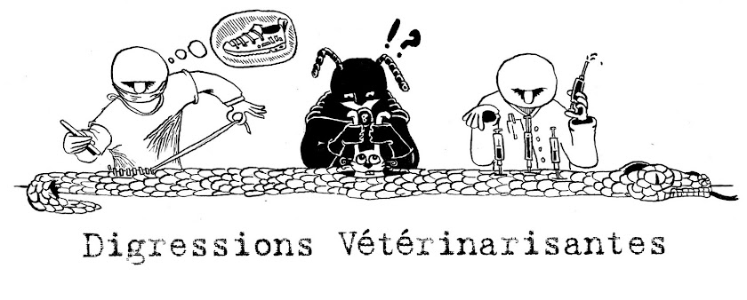 Digressions Vétérinarisantes