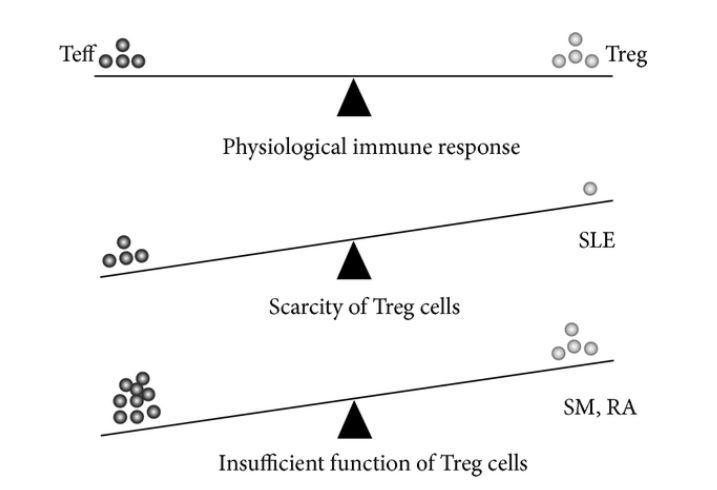 Epiphany: T helper cells in Autism - TH1 TH2 & TH17