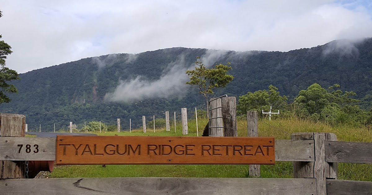 School Mum Adventures TYALGUM RIDGE RETREAT