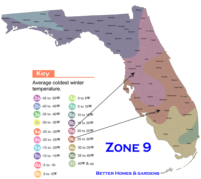 Florida Landscape Design Blog By Connie Helena March 2016