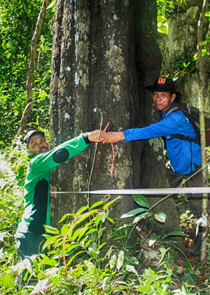 Travel And Tours Satwa Travel And Tours Satwa