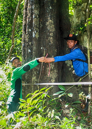 Mengenal Organisme Endemik di Kawasan Pengamatan Satwa 