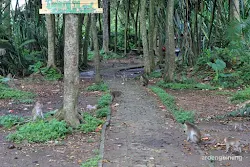 keramat solear tangerang