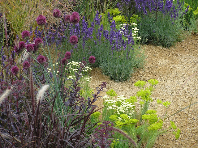 Hampton Court Flower Show 2014 The One Show Garden