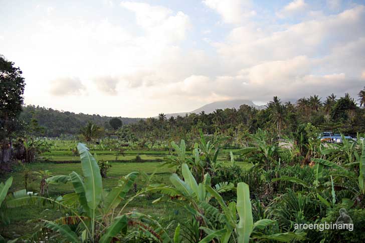 taman soekasada ujung karangasem