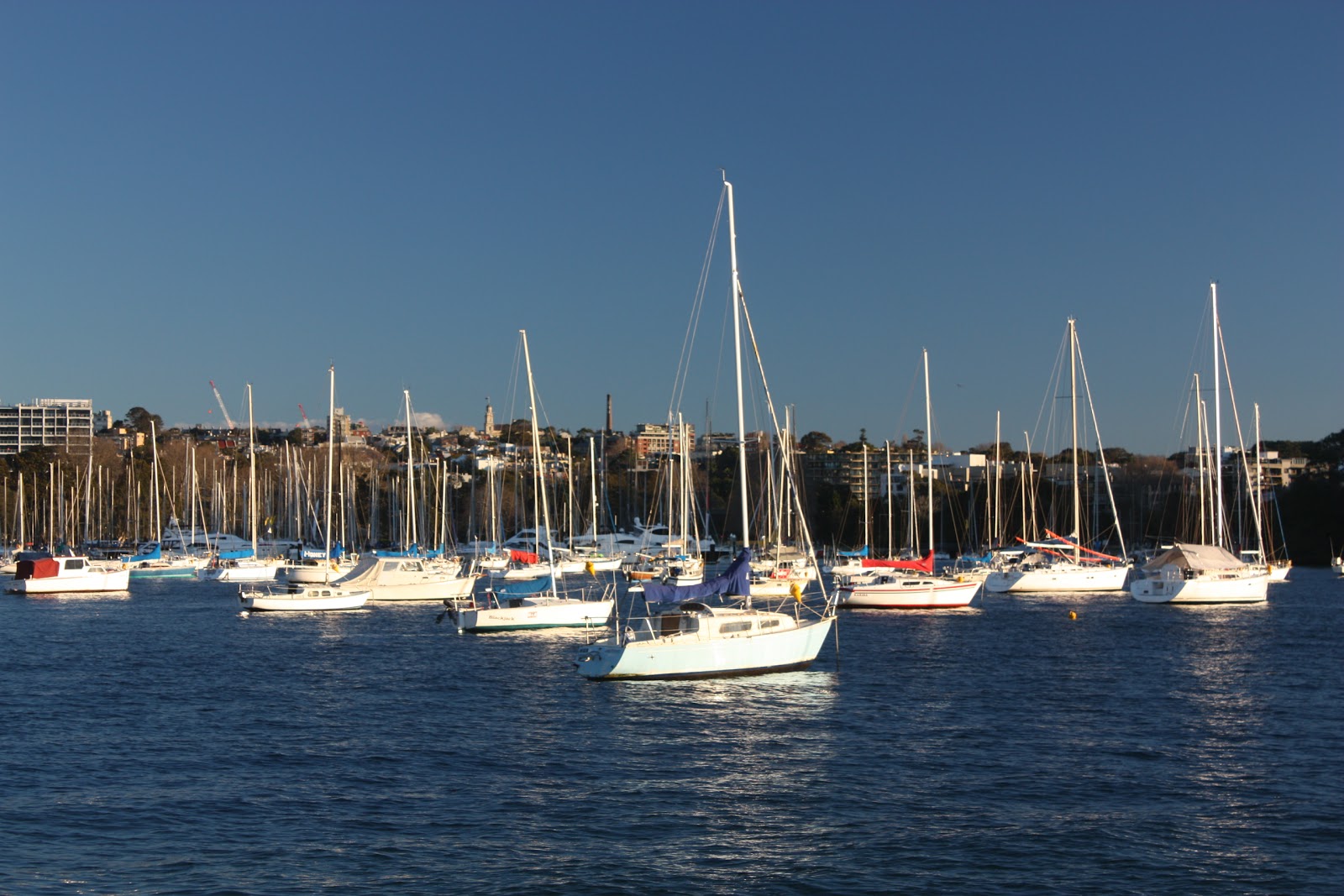 Sydney City and Suburbs Rushcutters Bay