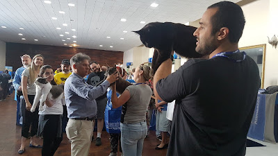 Hebraica recebe exposição e feira de adoção da Rio Cat Clube Hebraica recebe exposição e feira de adoção da Rio Cat Clube