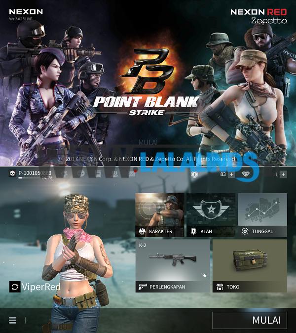 Point blank video game
