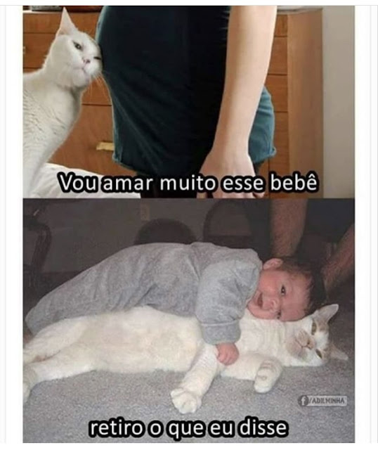 Memes engraçados Memes engraçados