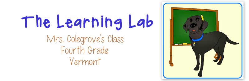 The Learning Lab