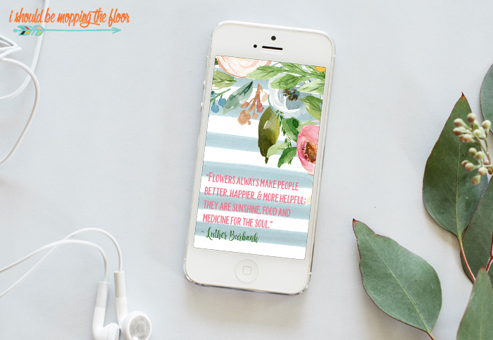 Free Spring Digital Assets for Your Devices: Calendars, Quotes, and Wallpapers for Your Phones, Tablets, and Computers. Free Digital Assets