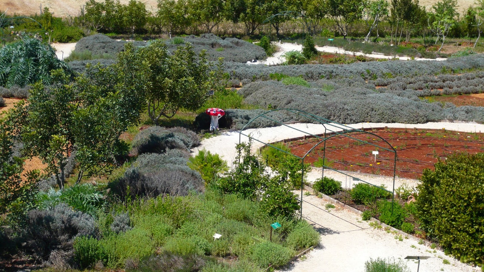 Kids have Fun in Cyprus Cyherbia Herb Gardens and Maze