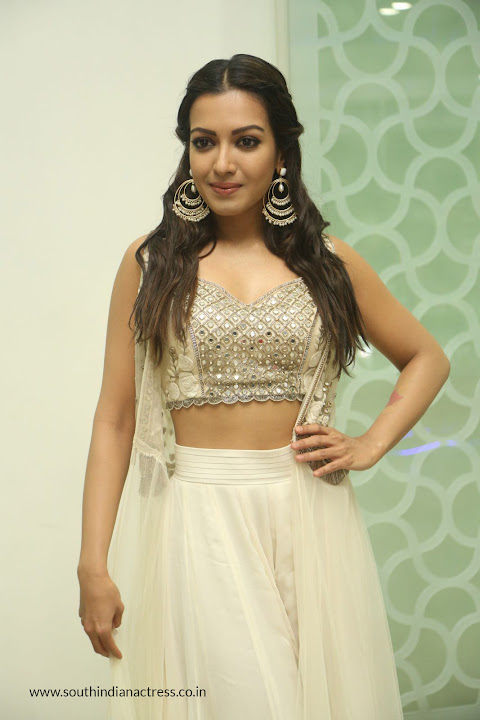 Catherine Tresa at Gautham Nanda success meet