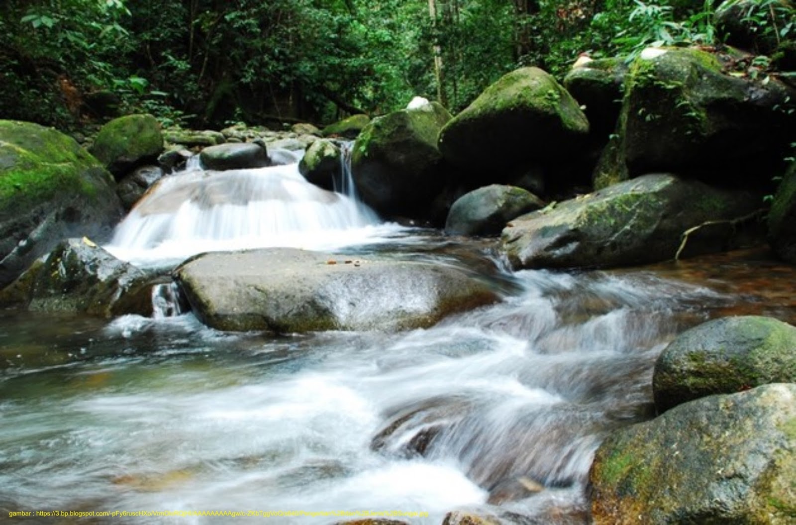 Parameter Kualitas Air : Sumber Air Untuk Budidaya Perikanan - Lalaukan