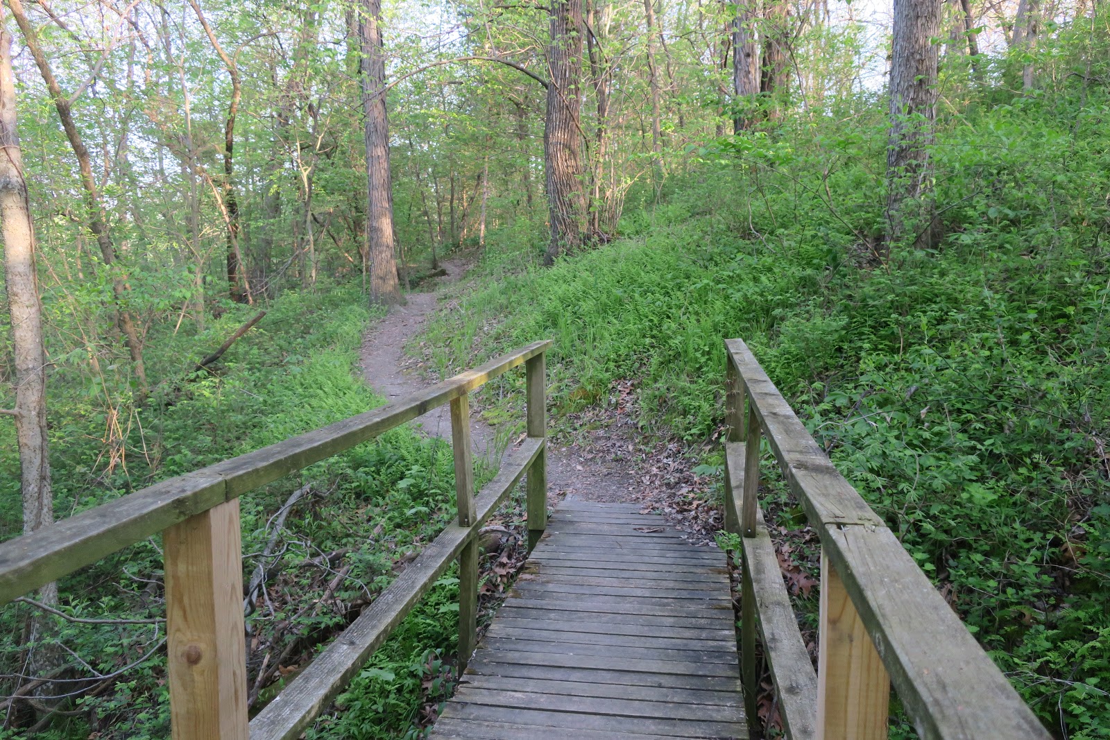 Living Rootless Missouri Arrow Rock Camping, Part 1 Cold Coffee and