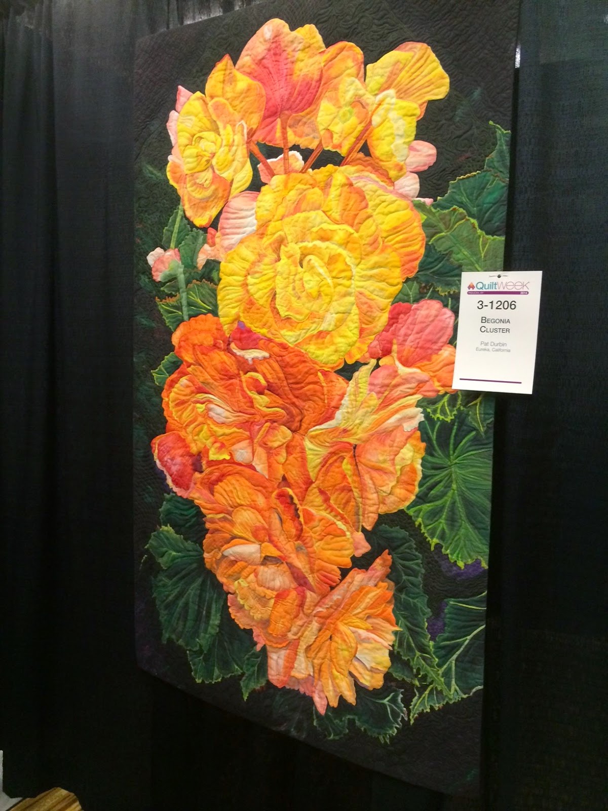 Beebee's Quilts and More Paducah quilt show pictures