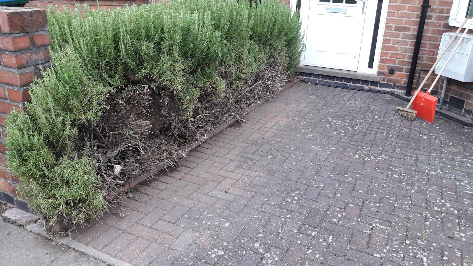 Keeping BlockPaving Free From Weeds!