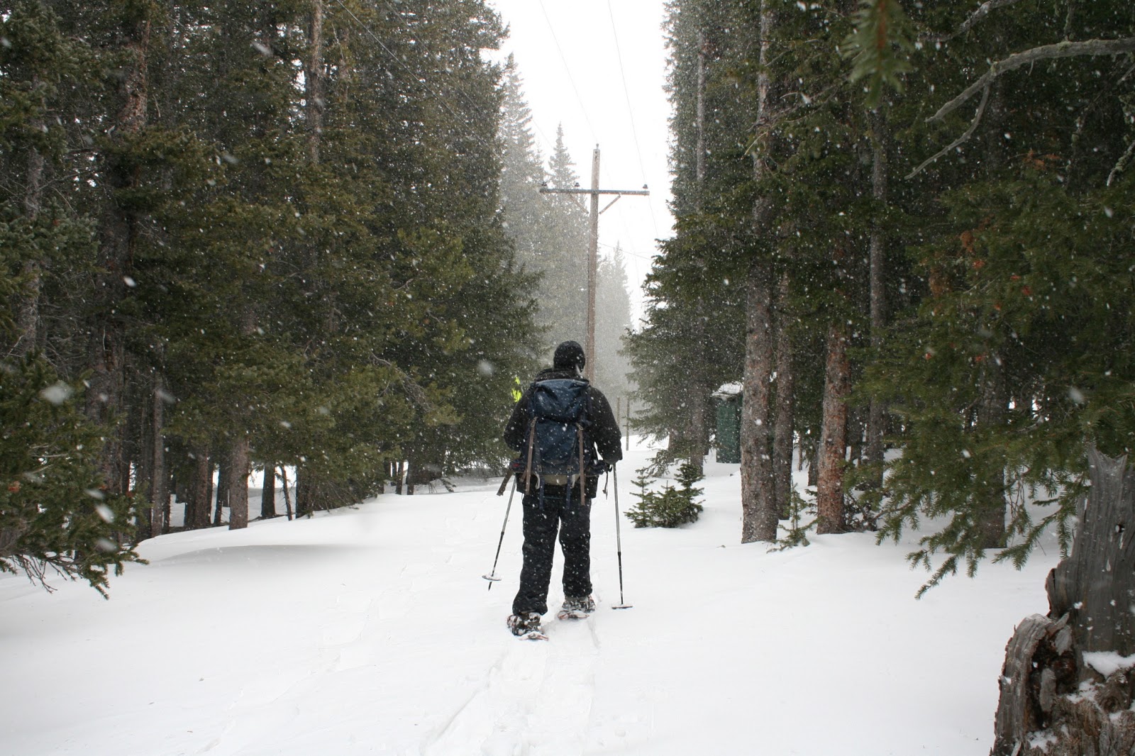 The Hiker Snowshoe Echo Lake