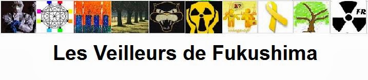 Les Veilleurs de Fukushima